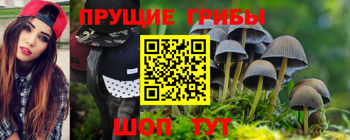 Полевской  Галлюциногенные грибы MAGIC MUSHROOMS  Вход с VPN 